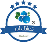 کافه بستنی تمشک آبی